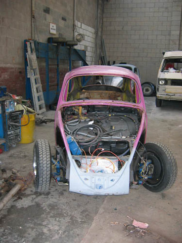 pinkshell2 gallery.JPG